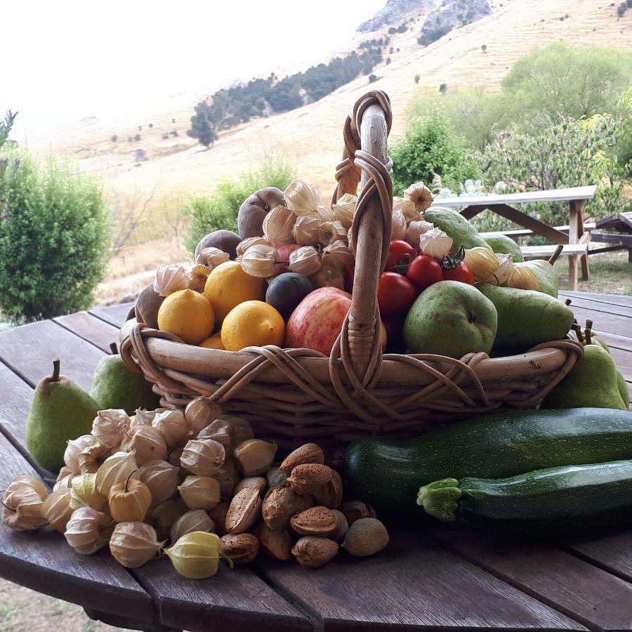Manaaki Mai, Rustic Retreat Bush Cabin Κράισττσερτς Εξωτερικό φωτογραφία